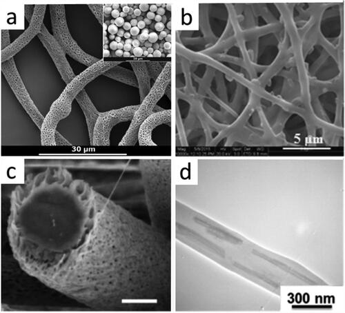 Figure 15. (a) SEM image of electrospun PLGA fiber with 5% protein-loaded CaCO3 particles. Inset shows SEM image of protein-loaded CaCO3 particles (adapted from [Citation243]); (b) SEM image of electrospun fibers with bacterial graft for gene delivery (adapted from [Citation248]); (c) SEM image of electrospun fiber with nanoporous superficial layer for drug delivery (scale bar 2 µm, adapted from [Citation241]); (d) TEM image of electrospun PCL/gelatin fiber with 5 wt% drug-loaded HNTs (adapted from [Citation245]).