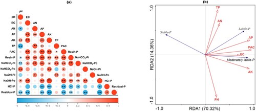 Figure 5. Pearson correlation analysis between the soil properties, nutrients, and soil-P fractions cross the whole experimental period (a), and the redundancy analysis (RDA) between the P fractions and soil chemical properties and nutrients (b). Blue represents a negative correlation and red represents a positive correlation. The ball size represents the correlation coefficient. Significance was shown only if p value was < 0.05. *p < 0.05, **p < 0.01. EC, electrical conductivity; AN, available nitrogen; AP, available phosphorus; AK, available potassium; TP, total phosphorus; PAC, phosphorus activation coefficient.