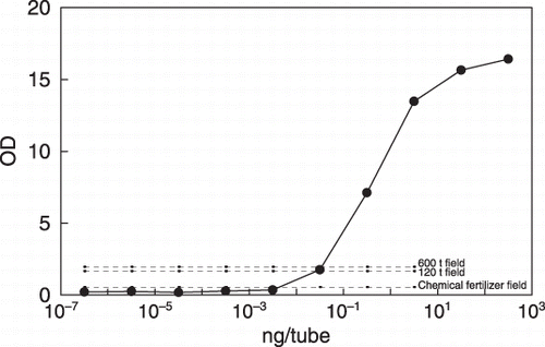 Figure 3  Estimation of the amount of bacterial DNA with serratial metalloprotease gene in the 600 t field, the 120 t field and the chemical fertilizer field by comparing the amount of polymerase chain reaction product (1.68 Kb in Fig. 5; dashed line) in the soil DNA with the amount of pure temperate DNA (4-12-132; solid line).