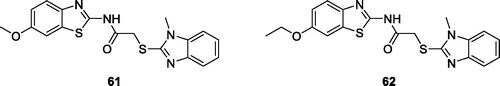 Figure 38. Benzimidazole based acetamide methoxybenzothiazole derivative 61 and acetamide ethoxybenzothiazole derivative 62.