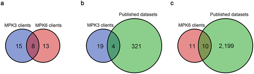 Figure 2. Venn diagram analysis of MPKs client peptides identified by the KiC assay.