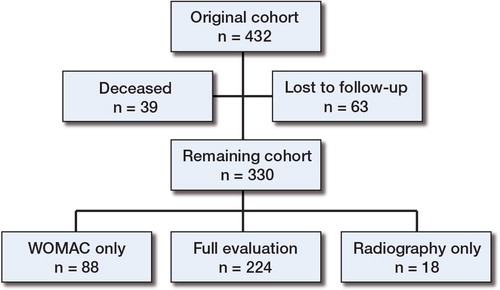 Figure 1. Flow chart of patients in the study.