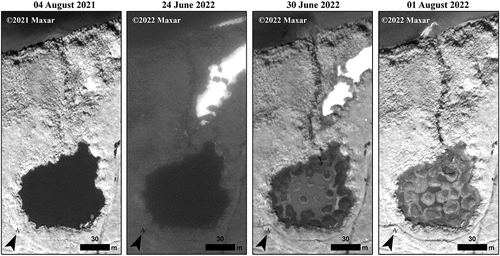 Figure 3. Very high-resolution satellite image time series bracketing the drainage of Schaeffer Lake to the time period observed by local environmental observers. The lake drained between 24 June 2022 (note smoke is present) and 30 June 2022 as observed in the 0.5 m resolution satellite images. The observation from 4 August 2021 was the last non-smoke and snow/ice-affected image available for the site prior to the lake drainage. The image acquired on 1 August 2022 demonstrates that the lake drainage was complete. ©2023 Maxar.