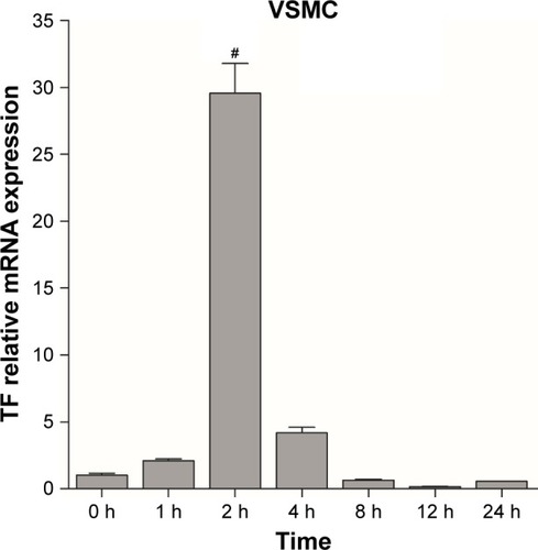 Figure 2 TF expression in VSMCs at different timepoints. The experiments were performed in triplicate to calculate the average value of each group. Data are presented as mean ± SEM. The TF mRNA levels from the different treated cells were normalized to the control one; #P<0.05.Abbreviations: TF, tissue factor; VSMCs, vascular smooth muscle cells; SEM, standard error of mean; h, hours.