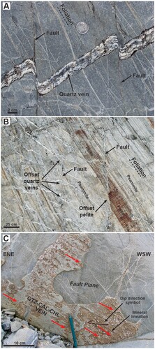 Figure 4. Outcrop exposure of faults. A, Two faults displacing a 2-3 cm-thick quartz-calcite vein. B, Wider view showing several faults that dextrally offset a thick relict bed of pelite (brown-coloured band) as well as numerous cm-thick quartz veins (white stripes). C, Example of mineral fibre lineations (red arrows) defined by quartz-calcite-chlorite vein material that infills some fault planes (fault plane dipping NNW, lineation plunging ∼30o SW).