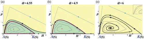 Figure 7. Phase-space portraits with an unstable interior equilibrium (s = 0.5, γ = 2, r = 0.5; Href=1/(sγ)=1). (a) The unstable interior equilibrium is surrounded by an invariant loop similar to Figure 5(c), but for even higher values of detJF(HI*,PI*)>1. (b) The invariant loop expands to the whole area between the invariant curves of A and K. Because of the infinite time that orbits need to reach exactly the invariant loop, the region inside the invariant loop is considered to be coexistence. (c) There is no invariant loop (the magnifying panel focus on the area near the Allee threshold). (Yellow: extinction region; green: coexistence region.)