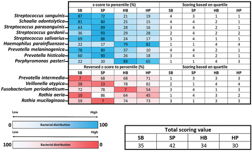 Figure 4. Heatmap plot and table showing the distribution of beneficial and harmful bacteria within oral samples of each KOGA type through scoring method.