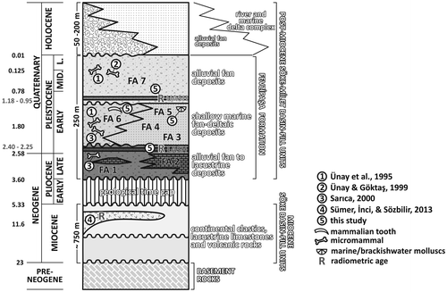 Figure 2. Neogene to Quaternary stratigraphy of the SMB (documented age and paleontological data were derived from studies compiled by Sümer, İnci & Sözbilir, Citation2013).