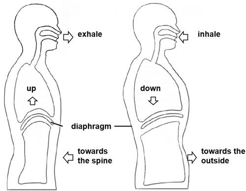 Figure 2 Diaphragmatic breathing.