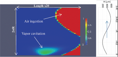 Figure 16. Vapor cavitation and air ingestion computed with the refined mesh.