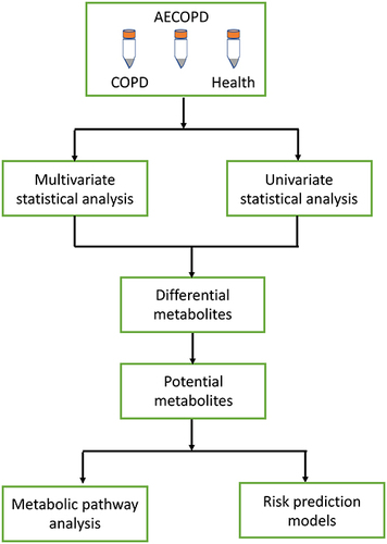Figure 1 Metabolomics-based serum metabolite screening workflow.