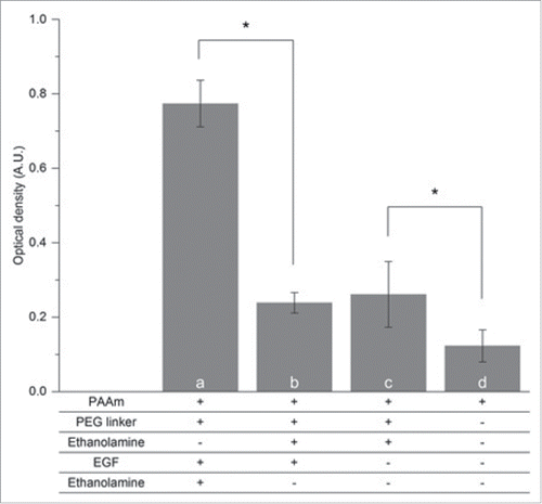 Figure 3. Characterization of the EGF grafting on PLA nanofibers by direct ELISA (n = 4). Optical densities (O.D.) corresponding to PAAm-covered mats treated with (A) PEG linker, EGF and ethanolamine (for deactivation of unreacted PEG), (B) Mats covered with PEG linkers that were deactivated before EGF incubation (C) or without any EGF incubation (D) were used as negative controls. As reference, the O.D. value obtained on (D) unmodified PAAm-covered mats is presented. Statistical differences are noted * (p < 0.05).