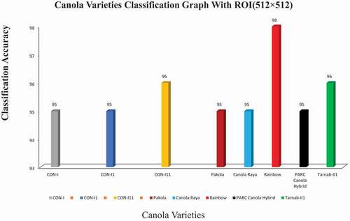 Figure 8. Canola varieties classification graph with ROI (512 ×512)