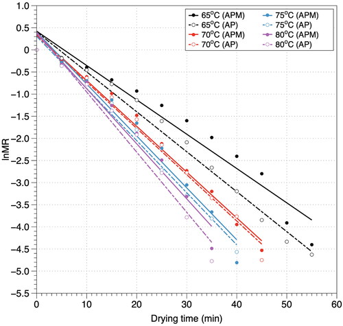 Figure 5. The graph of lnMR versus drying time in the infrared drying of avocado pulp.