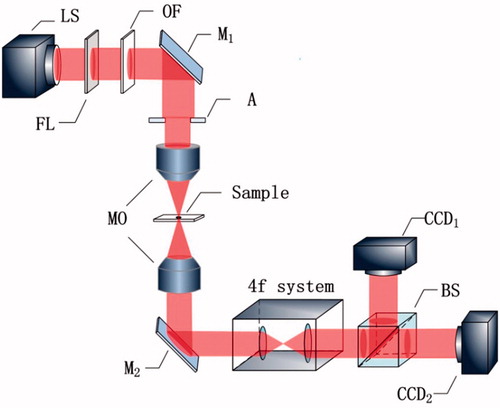 Figure 6. Principle of experimental setup. LS: light source; FL: frosted lens; OF: optical filter; A: aperture; M: mirror; MO: microscopy objective; BS: beam splitter.