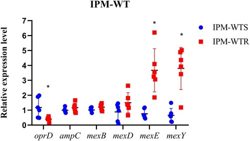 Figure 4 Expression levels of genes in wild-type susceptible and resistant isolates. IPM-WTS, wild-type imipenem-susceptible strains; IPM-WTR, wild-type imipenem-resistant strains; PAO1 was served as standardized strain *P < 0.05.