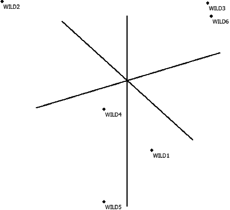 Figure 4. Principal Coordinate Analysis result according to ISSR in wild olives (FAMD 1.31).
