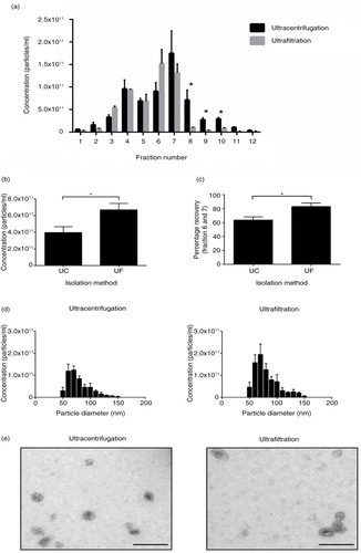 Fig. 4.  Ultrafiltration of CCM results in higher recovery of particles after density gradient purification. (a) Particle analysis of 1 mL fractions collected from density gradient. Ultracentrifugation results in a significantly higher proportion of particles at higher densities in fractions 8–10. (b) Total particles (<100 nm) isolated from ultracentrifugation and ultrafiltration. Ultrafiltration of CCM before density gradient purification results in a higher yield of <100 nm particles compared to ultracentrifugation preparation. (c) Percentage recovery of particles collected from fraction 6 and 7 is higher with the ultrafiltration protocol compared to ultracentrifugation. (d) Size distribution of particles isolated from both protocols indicates no difference in size profile of particles isolated. (e) EM images of exosomes isolated with ultracentrifugation and ultrafiltration protocols, size bar=200 nm. n=3±SEM, *p<0.05. UC: ultracentrifugation; UF: ultrafiltration.