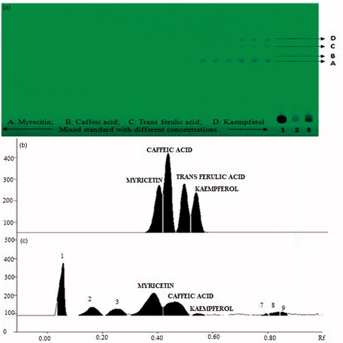 Figure 2. Developed HPTLC plate showing spots of myricetin, trans-ferulic acid, caffeic acid, and kaempferol at different concentrations in standards and in samples (1: mother extract) at 254 nm (A), HPTLC chromatogram of sample showing peaks of myricetin, trans-ferulic acid, caffeic acid, and kaempferol (B).