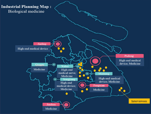 Figure 1. Shanghai industrial planning map for biological medicine offered by the Shanghai government (see https://map.Sheitc.sh.gov.cn/#/map/hydt).