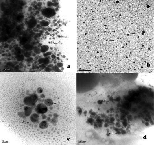 Figure 2. TEM images of copper nanoparticles synthesised by S. gresius at various magnifications. TEM images of copper nanoparticles at various magnifications and different nanosize distribution (a–d).