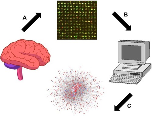 Figure 1 Scheme of the brain tissue analysis from AIDS patients with and without apparent features of HIVE-induced dementia using the Affymetrix microarray platform.