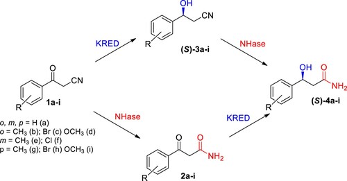 Scheme 1. Two-step bi-enzymatic linear cascade reaction approaches combining an enantioselective ketone reduction and a non-stereoselective nitrile hydration for the synthesis of (S)−3-hydroxy-3-phenylpropanamides 4a-i from benzoylacetonitrile derivatives 1a-i.