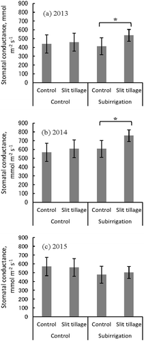 Figure 5. The effects of subirrigation and slit tillage on stomatal conductance at 13:00 in soybean (Glycine max).*Indicate significant difference (p < 0.05) by t-test. Error bars are the standard deviation based on six replicates. A leaf porometer was used to measure stomatal conductance in the terminal leaflet on the most active trifoliate leaf on the main stem when the soybean growth stage was between R5 and R6 (Fehr et al. Citation1971) (28 August, 2 September 2013, 2014, and 31 August 2015). Six replicate samples were measured for each treatment. Only plants with normal germination were measured in 2014, because there was a low standing crop (therefore, sampling was not random that year).