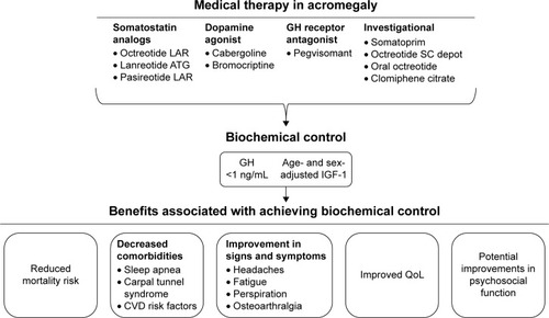 Figure 1 Classes of medical therapy providing biochemical control for patients with acromegaly.