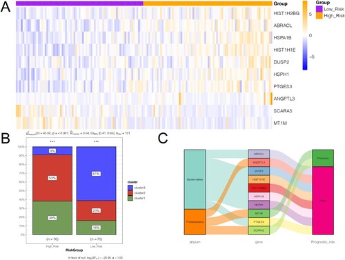 Figure 6. Correlation between gene signatures and the three clusters. A, heatmap shows the expression of the 10 gene signatures in the high- and low-risk groups. B, bar chart shows the distribution of samples of the three subtypes in high- and low-risk groups. C, Sankey diagram shows the relationships between microbiota, gene signature, and their prognostic effects.