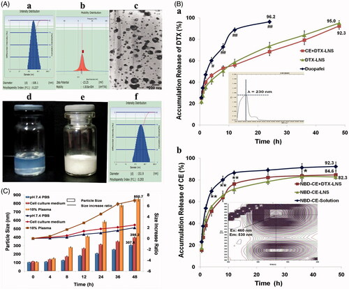 Figure 2. Characteristics of CE + DTX-LNS in vitro. (A) Particle size (a), zeta potential (b), TEM images (c) and photographs (d) of freshly prepared CE+DTX-LNS; Photographs (e) and particle size (f) of lyophilized CE + DTX-LNS. (B) In vitro drug release of CE+DTX-LNS (n = 3). (a) The release profile of DTX from CE + DTX-LNS, DTX-LNS and Duopafei® (b) The release profile of NBD-CE from NBD-CE + DTX-LNS, NBD-CE-LNS and NBD-CE-Solution. *p < 0.05, **p < 0.01, statistically significant difference between NBD-CE+DTX-LNS and NBD-CE-Solution; # p < 0.05, ##p < 0.01, statistically significant difference between CE+DTX-LNS and Duopafei®. (C) Stability of CE + DTX-LNS was evaluated by determination of particle size alteration overtime in different media: PBS, complete cell culture media and PBS containing 10% plasma (n = 3).