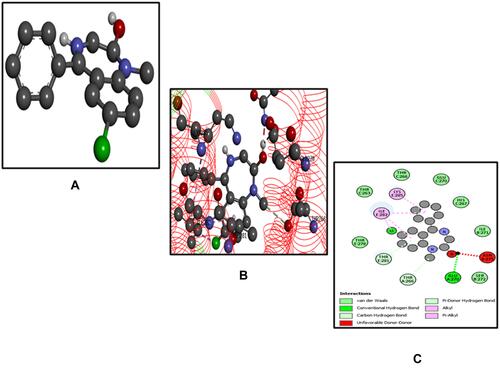 Figure 8 Best pose of diazepam (DZM) (A), interactions of DZM (B) and two-dimensional representation of hydrogen bonds of DZM (C) drawn using Discovery Studio Visualizer 2016.