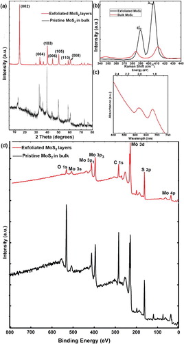 Figure 3. Evidence for exfoliated edges-rich MoS2 structure. (a) XRD pattern taken on the exfoliated MoS2 nanosheets and bulk MoS2. (b) Raman spectra captured on the exfoliated MoS2 and pristine MoS2 in bulk. (c) UV-vis absorption spectrum of exfoliated MoS2. (d) XPS spectrum of the exfoliated MoS2 nanosheets and bulk MoS2 for full scanning.