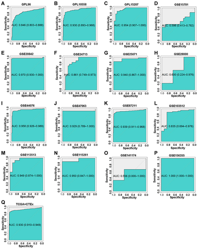 Figure 7 The corresponding ROC curves of AZGP1 differential expression in CRC tissue versus normal colorectal tissue. (A) GPL96; (B) GPL10558; (C) GPL15207; (D) GSE15781 dataset; (E) GSE20842; (F) GSE24713; (G) GSE25071; (H) GSE28000; (I) GSE44076; (J) GSE47063; (K) GSE87211; (L) GSE103512; (M) GSE113513; (N) GSE115261; (O) GSE141174; (P) GSE156355; (Q) TCGA+CTEx. TCGA, The Cancer Genome Atlas.