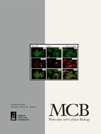 Cover image for Molecular and Cellular Biology, Volume 42, Issue 5, 2022