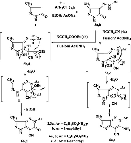 Scheme 1. Synthesis of pyrazolopyridazine derivatives.