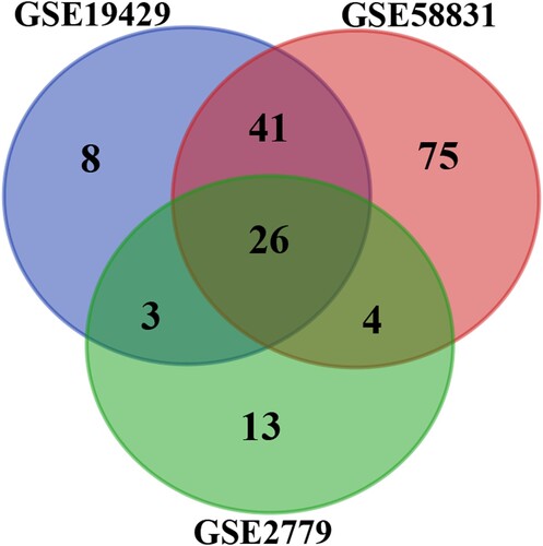 Figure 1. Venn diagram of DEGs from the 3 GEO datasets. This study identified DEGs with the fold change over 1 and adjusted P-values less than 0.05 within the gene expression profiling sets of GSE19429, GSE58831, and GSE2779, which exhibited the overlap of twenty-six genes.