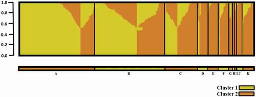 Fig. 2. STRUCTURE Sub-population membership for 400 two-row barley grouped by breeding institution. A = Agriculture and Agri-Food Canada, Brandon Research and Development Centre (AAFC-BRDC); B = Crop Development Centre (CDC); C = Field Crop Development Centre (FCDC); D = Busch Agricultural Resources, Inc. (Bari); E = WestBred LLC/ Highland Specialty Grains (WB/HSG); F = North Dakota State University (NDSU); G = Agriculture and Agri-Food Canada, Lethbridge Research and Development Centre (AAFC-LeRDC); H = Agriculture and Agri-Food Canada, Ottawa Research and Development Centre (AAFC-ORDC); I = Molson Coors Beverage Company (COORS); J = Agricore United (AU); K = Accession. Yellow = Cluster 1 and Orange = Cluster 2. The Y axis represents the proportion of cluster (K = 2) membership.