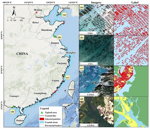 Figure 1. Location of the selected patches in China’s coastal region, which are distributed within 30 km away from the coastal line. Images and corresponding labels of typical areas (a), (b), (c), (d) are shown in the right columns, which use red for marine plant culture areas (MPC) and yellow for marine animal culture areas (MAC).