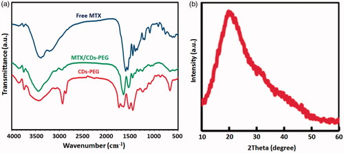 Figure 1. Fourier transform infrared spectroscopy (FTIR) of the PEG passivated carbon dots (CDs-PEG), MTX loaded CDs-PEG (MTX/CDs-PEG) and free methotrexate (MTX) (a) and X-ray diffraction (XRD) pattern of the CDs-PEG (b).