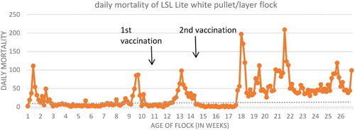 Figure 1. Line graph of daily mortality in the affected flock (target mortality in dotted line)*. Note: *Mortality spike in week 9 due to Infectious Laryngotracheitis vaccine reaction from week 8, week 26 spike due to colibacillosis in the flock.