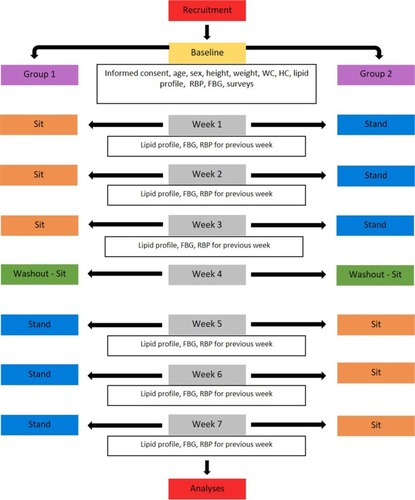 Figure 1 Experimental flowchart.