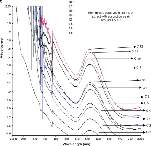 Figure 5 UV-vis bioreduction kinetics of the reaction of M. edule leaf extract with aqueous chloroaurate ions at 5, 10, and 15 mL concentration in the range of 200–800 nm with different time intervels. 5 mL of gold and leaf aqueous solution (A), 10 mL of gold and leaf aqueous solution (B), and 15 mL of gold and leaf aqueous solution (C). Curves 1–12 correspond to 3, 6, 9, 12, 15, 16, 17, 18, 21, 24, 27 hours of reaction time, respectively.Abbreviation: C, curves.
