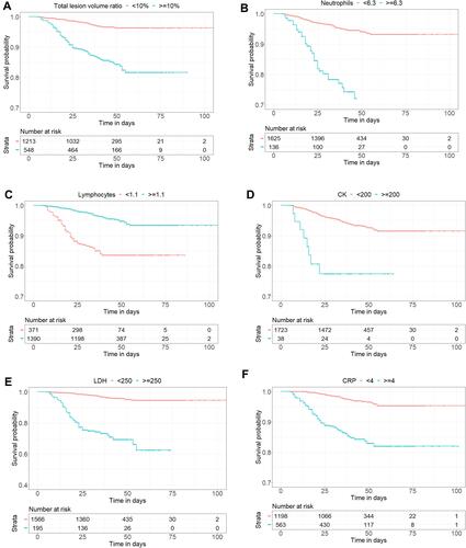 Figure 3 Kaplan–Meier curves of risk group stratification for non-progression to severe illness. (A) The cutoffs of neutrophils for each risk group were as follows: low risk: <6.3, and high risk: ≥6.3. (B) The cutoffs of lymphocytes for each risk group were as follows: low risk: ≥1.1, and high risk: <1.1. (C) The cutoffs of CK for each risk group were as follows: low risk: <200, and high risk: ≥200. (D) The cutoffs of LDH for each risk group were as follows: low risk: <250, and high risk: ≥250. (E) The cutoffs of CRP for each risk group were as follows: low risk: <4, and high risk: ≥4. (F) The cutoffs of total lesion volume ratio for each risk group were as follows: low risk: <10%, and high risk: ≥10%.