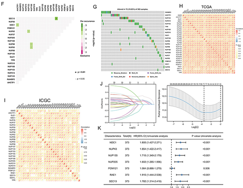 Figure 1 Expression variation of the nuclear pore complex (NPC) molecules. (A) The pattern map to show the NPC regulation mechanism of molecules between the nucleoplasm and cytoplasm and its potentially important regulatory role in the tumor immune microenvironment (TME). (B) The waterfall diagram shows the somatic mutations of the 10 NPC molecules with the highest mutation frequency using pan-cancer analysis. 73.68% is the proportion of 1900 samples with at least one mutation of the top 10 genes among 1900 samples with at least one mutation of 30 NPC genes. The percentage figure of each line on the right of the picture is the number of samples with the corresponding gene mutation divided by 1900 samples with at least one mutation among the 30 NPC molecules. (C) The color of the dots represents the degree of variance. Redder dots represent higher expression in cancer tissue. Bluer dots represent higher expression in normal tissue. The fold change equals mean (Tumor) / mean (Normal), p-value was used, t-test and p-value was adjusted by FDR. The size of the bubbles indicates the FDR. Larger bubbles represent a lower FDR. The genes with fold change (Fold change >2) and significance (FDR> 0.05) were retained to produce the figures. If there is no significant gene in one cancer type, the cancer type is omitted in the final figure. (D) The bubble chart shows the correlation between copy number variant (CNV) and mRNA expression level. Red indicates positive correlation; blue indicates negative correlation. The deeper color indicates a larger correlation index. The bubble size indicates the FDR. (E) The bubble chart shows the correlation between methylation of the 30 NPC-related molecules and mRNA expression. Red shows a positive correlation and blue shows a negative correlation. The darker color indicates a larger correlation index. Bubble size indicates the FDR. (F) Mutation characteristics of the 30 NPC-related molecules in 374 patients with hepatocellular carcinomas in the TCGA-LIHC cohort; green indicates co-mutation, brown indicates mutex-mutation. (G) Mutation frequency of 30 NPC-related molecules in 374 patients with Hepatocellular carcinoma in the TCGA-LIHC cohort. Each column represents an individual patient. The small figure above shows the tumor mutation burden (TMB), the number on the right shows the mutation frequency of each regulator. (H and I) Correlation between expression levels of 30 NPC molecules, red represents positive correlation, blue represents negative correlation, and shades of yellow indicates the P values. [Spearman method, (F) The Cancer Genome Atlas (TCGA)-LIHC, n =374; (G) International Cancer Genome Consortium (ICGC), n = 240]. (J) Least absolute shrinkage and selection operator (LASSO) model fitting. Each curve represents a gene. The profiles of coefficients were plotted versus log(λ). Vertical lines indicate the positions of seven genes with coefficients greater than 0 determined by 10-fold cross-validation. λ was determined from 10-fold cross-validation. The x-axis represents log(λ); the y-axis represents binomial deviance. Optimal values calculated from minimum criteria and one standard error of the criteria are indicated by the dotted vertical lines. (K) Univariate Forest plot showing association between 6 candidate genes expression and overall survival (OS) in TCGA-LIHC. *P <0.01, •P <0.05.