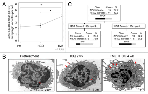 Figure 3. Pharmacodynamic effects of TMZ and HCQ on autophagic vacuole accumulation in PBMC, and PK-PD correlation. (A) Mixed-effects model of mean ± SD autophagic vacuoles (AVs)/cell in PBMC. Dotted line: regression line. (B) Representative electron micrographs of serial PBMC; red arrows: AV (C) Classification tree from CART analysis. (D) Histogram of AV change at 2 wk in patients with estimated HCQ Cmax above or below 1554 ng/mL.