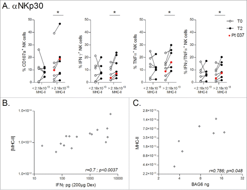 Figure 4. Dex MHC-II molecules predict BAG6 / NKp30-mediated NK cell activity. (A) Dex preparations produced for the whole cohort of NSCLC patients were divided into two groups either side of the median MHC-II quantity of 2.18 × 1013 molecules (< 2.18 × 1013 MHC-II, and > 2.18 × 1013 MHC-II respectively), and CD107a upregulation and cytokine production following NKp30 cross-linking were determined comparing baseline (T0) and post 4 IFN-γ-Dex vaccinations (T2). The experiment was performed in triplicate wells, with the three wells pooled before FACS staining. Patient #037 with long-term stabilization post-Dex therapy as shown in Fig. 2 is indicated with red dots. Paired t-test p-value is indicated on the graph. (B) Spearman correlations between IFN-γ levels (measured on Dex batches) and MHC-II quantity within the same preparations. (C) Spearman correlations between BAG6 quantity (measured by ELISA on Dex batches) and MHC-II quantity in the same Dex.