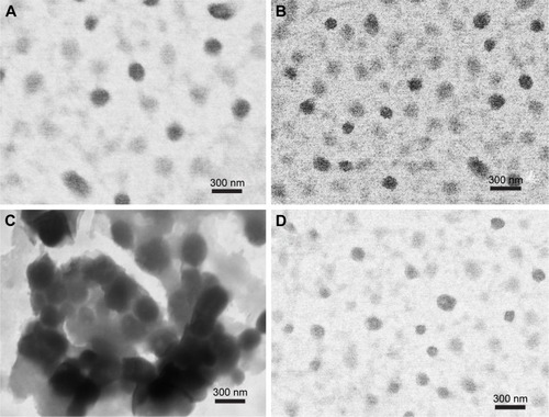Figure 3 TEM images of (A) FLOM, (B) FLOD, (C) FLLM and (D) FLLD.Abbreviations: TEM, transmission electron microscopy; FLOM, 5-FU-loaded lauric acid and oleic acid nanoparticles prepared with mono-surfactant system; FLOD, 5-FU-loaded lauric acid and oleic acid nanoparticles prepared with double-surfactant system; FLLM, 5-FU-loaded lauric acid and linoleic acid nanoparticles prepared with mono-surfactant system; FLLD, 5-FU-loaded lauric acid and linoleic acid nanoparticles prepared with double-surfactant system; 5-FU, 5-fluorouracil.