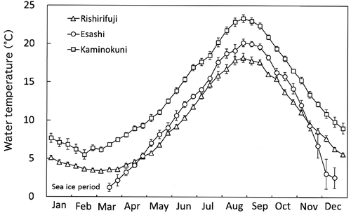 Fig. 3. Monthly fluctuation in mean seawater temperatures of surface water for 10 days (mean ± standard error) in the coastal regions of southwest (SW, neighbouring Hiyama-Esashi 2001–2005; Kaminokuni 2001–2010, n = 8–10), northwest (NW; Rishirifuji 1991–1998, n = 8) and northeast (NE; Esashi 1995–2000, March–November n = 5, December n = 2). Seawater temperature data in NE from January to early mid-March were not measured because of the sea-ice berthing period.