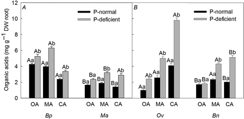 Figure 1 The sum of root-exuded oxalic, malic, and citric acids in (A) woody Moraceae plants [B. papyrifera (Bp) and M. alba (Ma)] and (B) herbaceous cruciferous plants [O. violaceus (Ov) and B. napus (Bn)] from the root during 6 h in 10, 20, 30, 40 and 50 treatment days.
